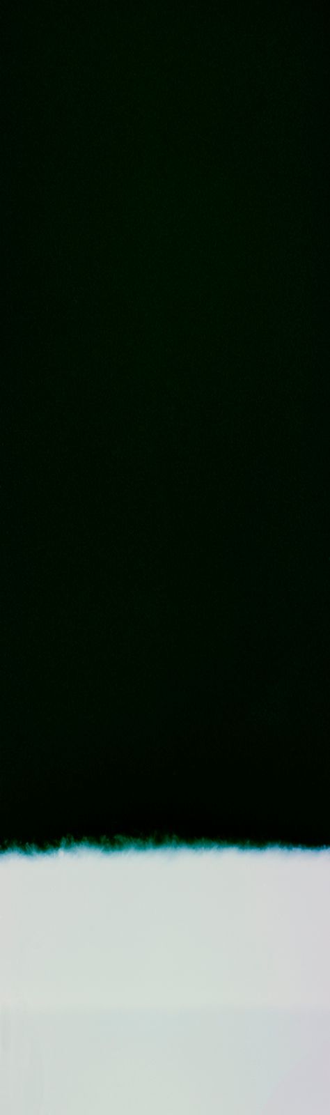 DanielaDroz--PLUIEDELUMIERE-02--2026