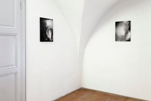 DanielaDroz--SoloShow07--DanieleAgostiniLugano--2019