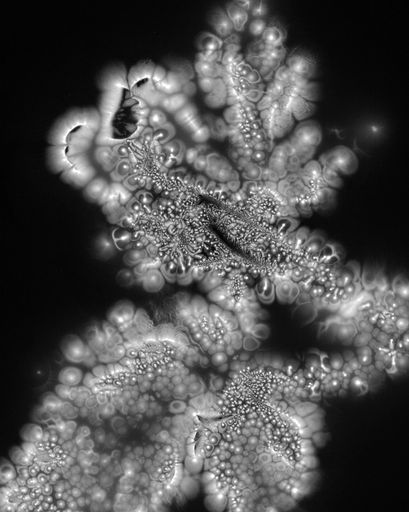 DANIELADROZ--Soffio-11--2026