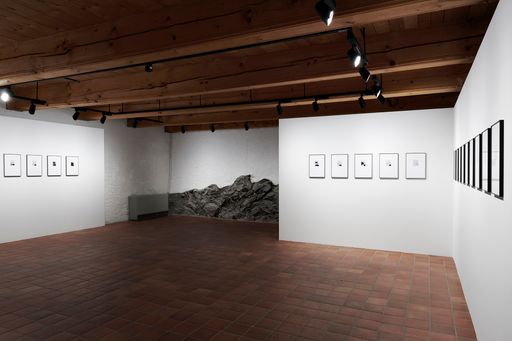 DanielaDroz--L'enversDuVisible23-ChateauDeGruyere--2018