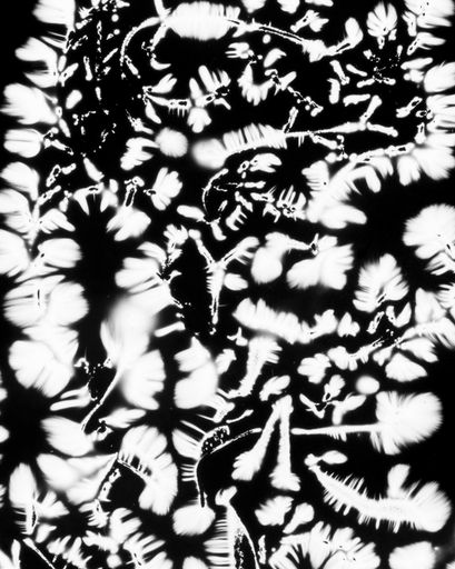 DANIELADROZ--Soffio-04--2026