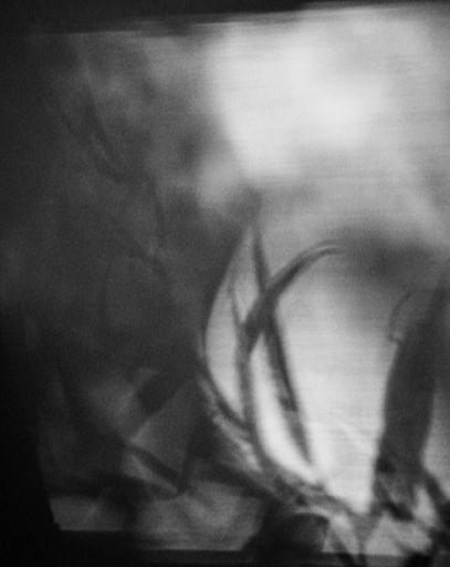 DanielaDroz--ALIZE-02--2018