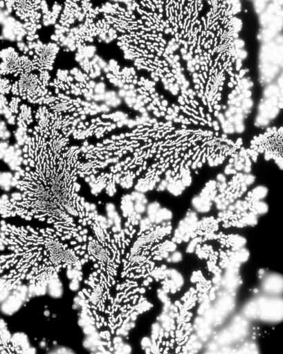 DANIELADROZ--Soffio-01--2026