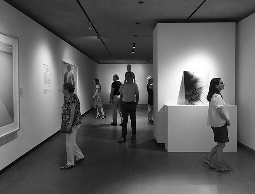 DanielaDroz--Ombres01--Hermitage--2019