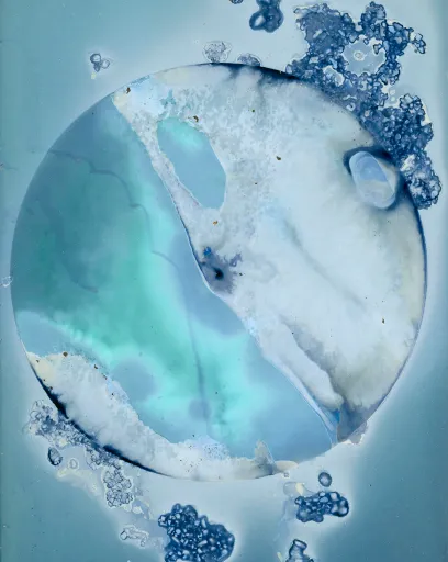 DanielaDroz--LUMEN-005-DD-NEG--2023